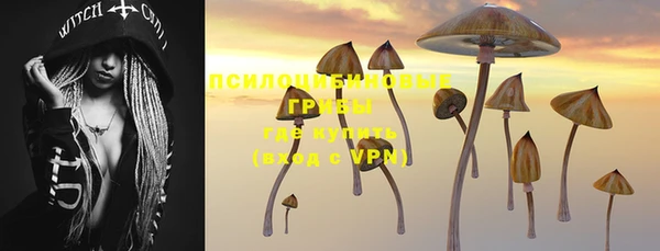 2c-b Бородино