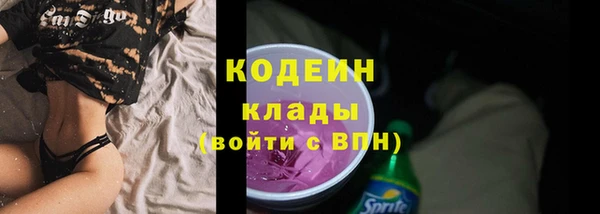 гидра Верея
