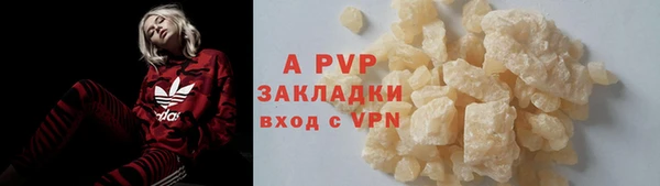 2c-b Бородино