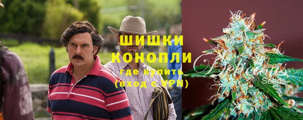 дживик Сясьстрой