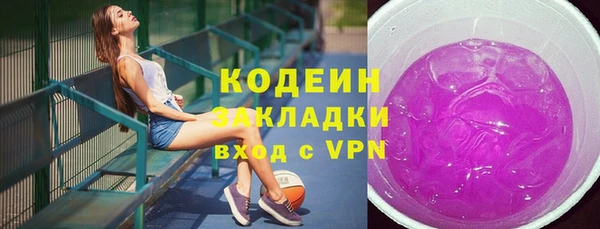 2c-b Бородино