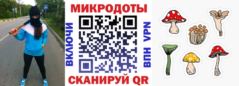 Псилоцибиновые грибы прущие грибы  что такое наркотик  Долинск 